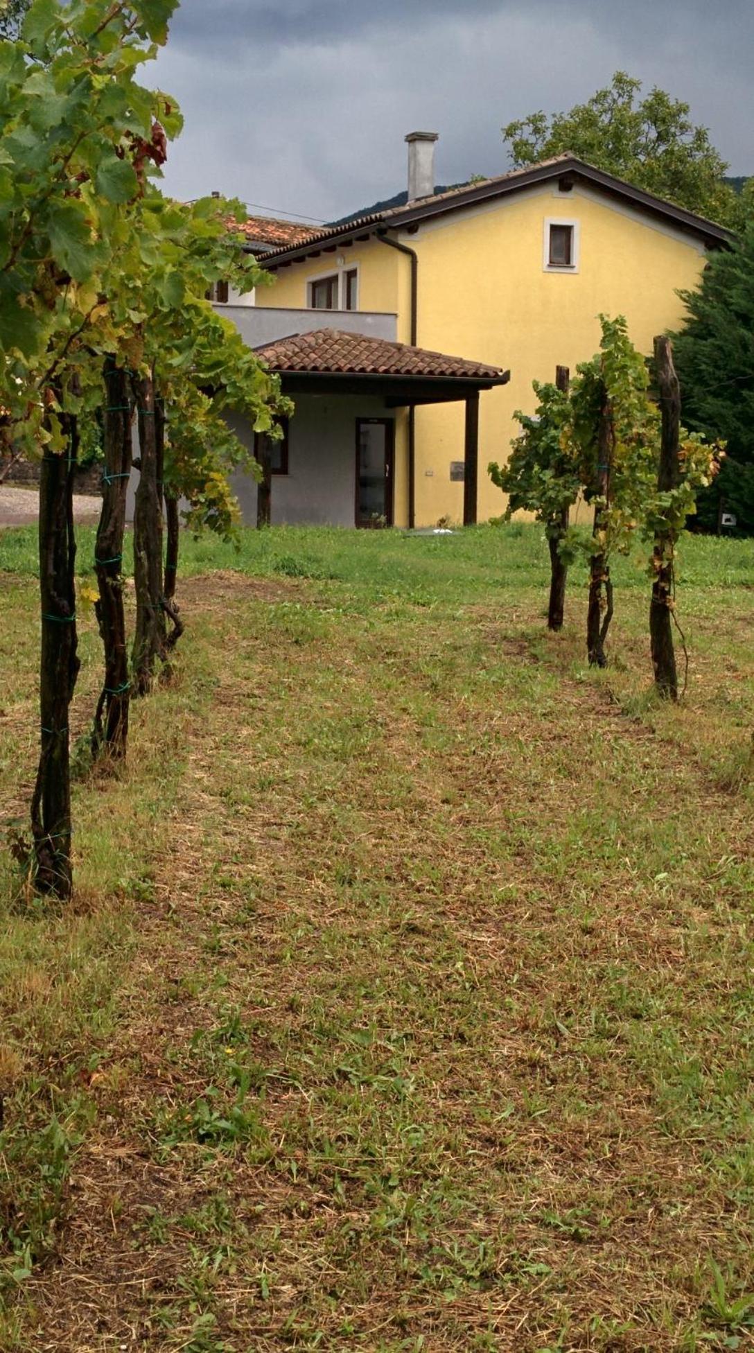 Small House In Vipava Valley Luaran gambar