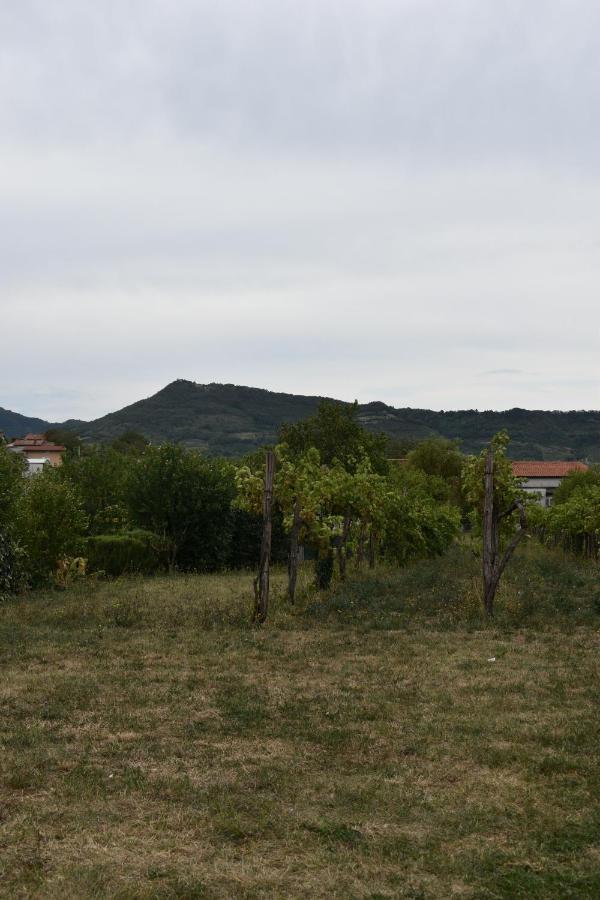 Small House In Vipava Valley Luaran gambar