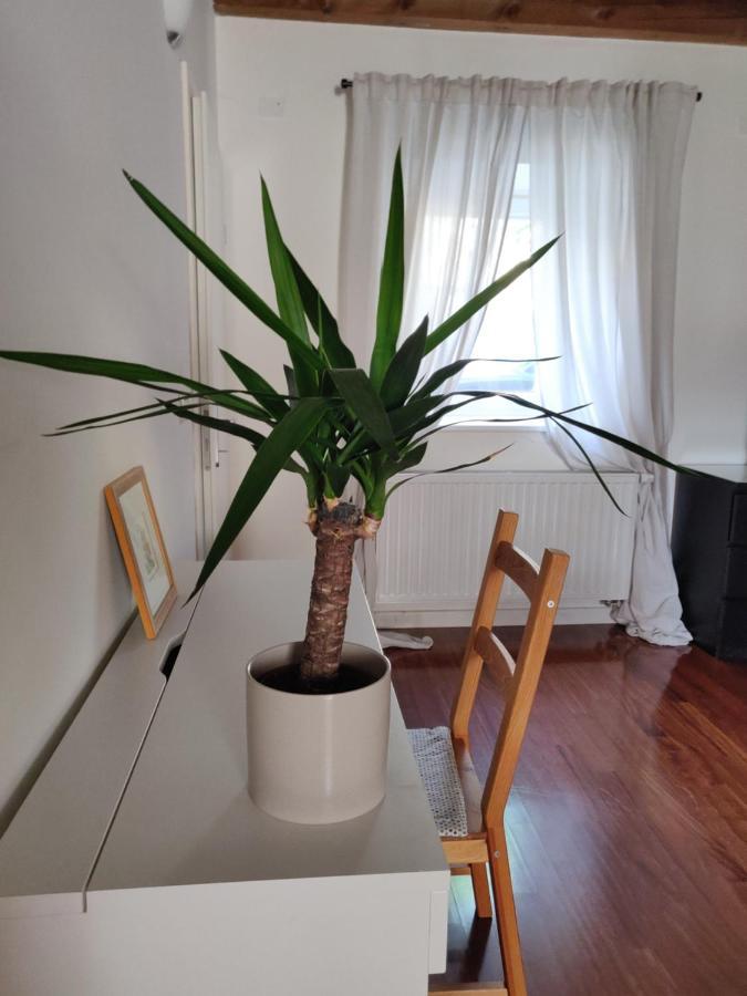 Small House In Vipava Valley Luaran gambar